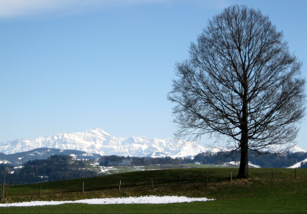 Säntis